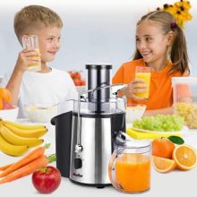10 Best Easy-to-Clean Juicers in 2021 - Reviews & Top Picks Mueller Austria Juicer Ultra Power feat
